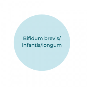 Bifidum brevis/infantis/longum