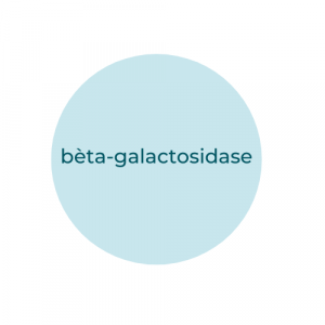 Bèta-galactosidase