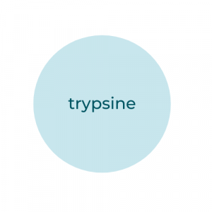 Trypsine
