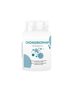 Chondrophar